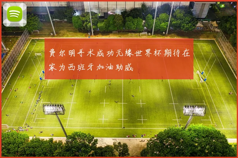 费尔明手术成功无缘世界杯期待在家为西班牙加油助威