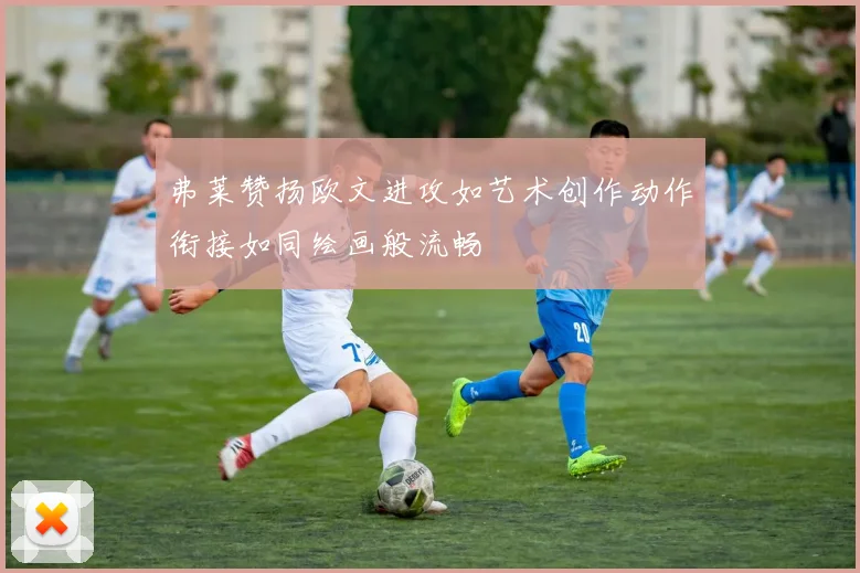 弗莱赞扬欧文进攻如艺术创作动作衔接如同绘画般流畅